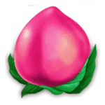 Symbol Pink Peach
