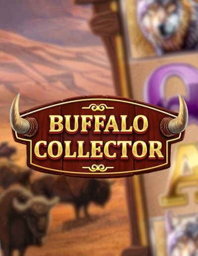 Buffalo Collector
