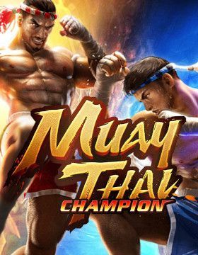 Muay Thai Champion