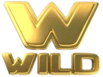 Symbol Wild