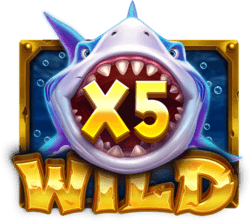 Symbol Wild Multiplier
