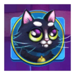 Symbol Black Cat