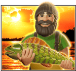 Symbol Wild (Collector)