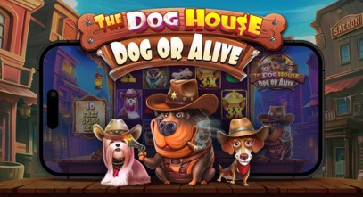 The Dog House - Dog or Alive