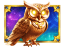 Symbol Owl
