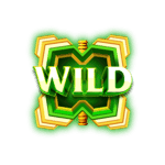 Symbol Wild
