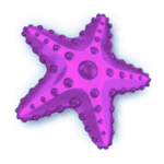 Symbol Starfish