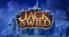 Jack O'Wild