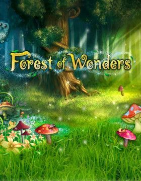 Forest of Wonders