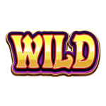 Symbol Wild