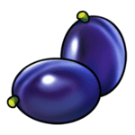 Symbol Plum