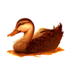 Symbol Duck