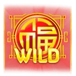 Symbol Wild