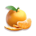 Symbol Citrus