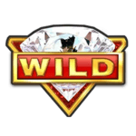Symbol Wild