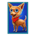 Symbol Chihuahua Pup