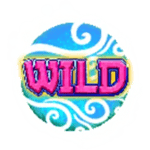 Symbol Wild
