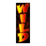 Symbol Expanded Wild