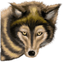 Symbol Wolf