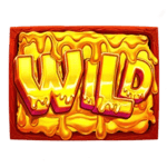 Symbol Wild