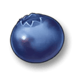 Symbol Blueberry