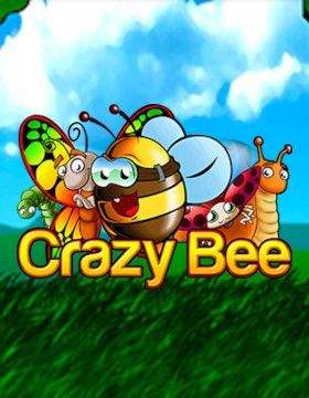 Crazy Bee
