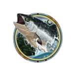 Symbol Salmon