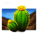 Symbol Cactus