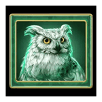 Symbol Snow Owl