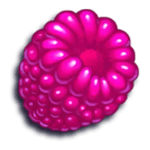 Symbol Raspberry