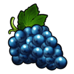 Symbol Grapes