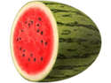 Symbol Watermelon