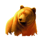 Symbol Bear
