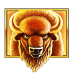 Symbol Buffalo