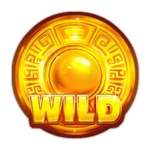Symbol Wild