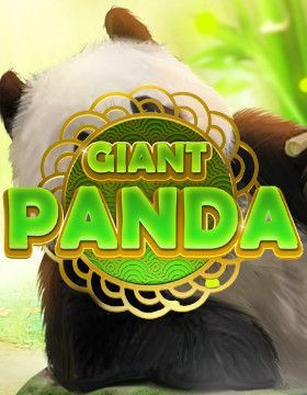 Giant Panda