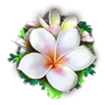 Symbol White Flower