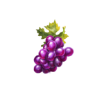 Symbol Grapes
