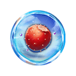 Symbol Red Strawberry