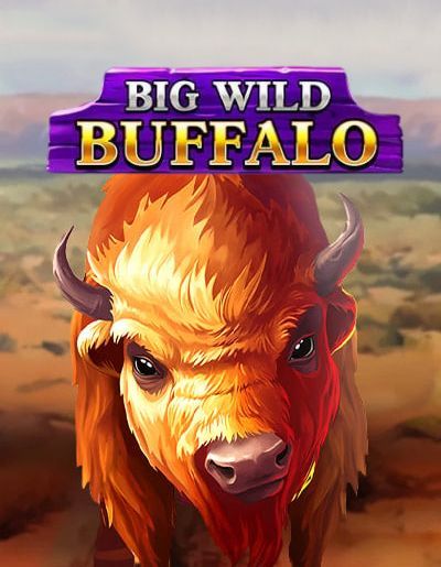 Big Wild Buffalo