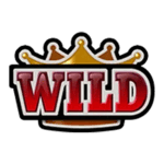 Symbol Wild