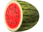 Symbol Watermelon