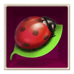 Symbol Ladybug