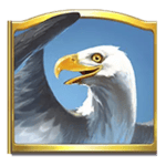 Symbol Eagle