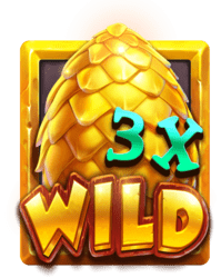 Symbol Wild Multiplier
