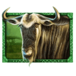 Symbol Wildebeest