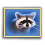 Symbol Raccoon