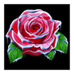 Symbol Frost Rose