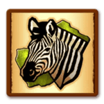 Symbol Zebra