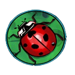 Symbol Ladybug